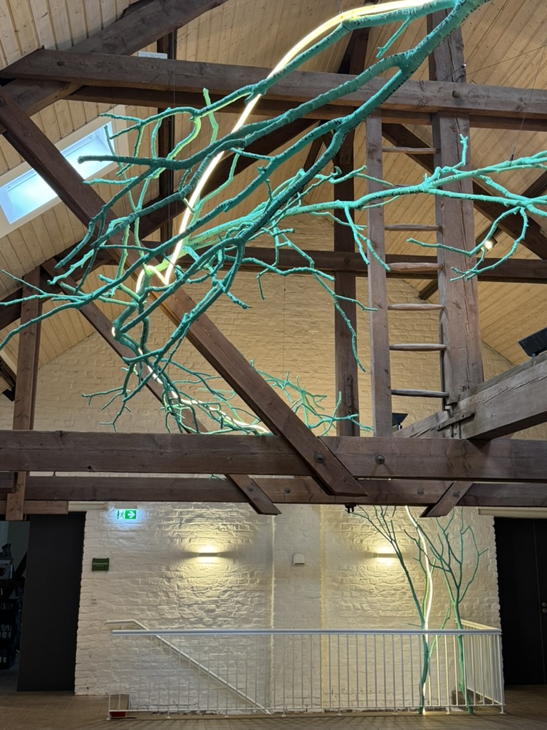 94340A76-4ACF-475B-84D6-0710993F794F_1_105_c